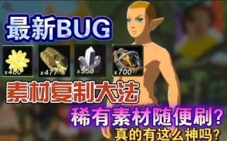 塞尔达开格子bug，塞尔达开格子在哪？