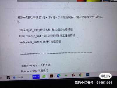 模拟人生4怎么使用秘籍？模拟人生4如何使用秘籍？-第5张图片-山川游戏