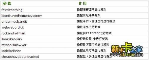 侠盗飞车4秘籍怎么输电脑，侠盗飞车4秘籍怎么输视频-第2张图片-山川游戏