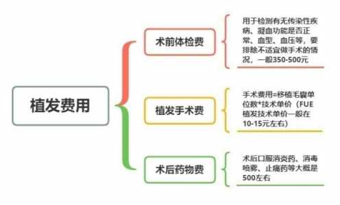 头发移植多少钱一根，头发移植贵吗-第3张图片-山川游戏