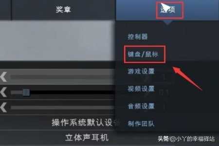 没有使用csgo国服启动器是什么，没有使用csgo国服启动器,因此无法？-第2张图片-山川游戏