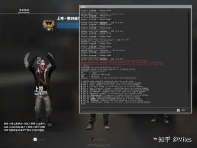 csgo国服是什么样的，csgo国服是啥？-第1张图片-山川游戏