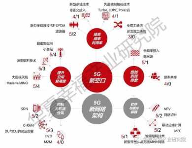 明日方舟蠢驴值得练吗，明日方舟是驴还是兔子-第2张图片-山川游戏