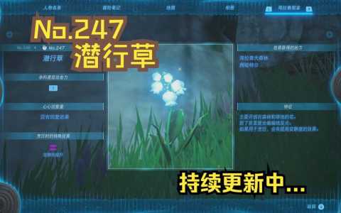 塞尔达武器图鉴，塞尔达武器图鉴323？-第2张图片-山川游戏