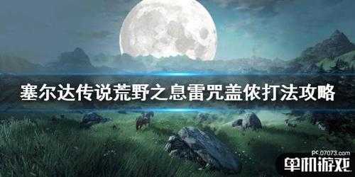 塞达尔水神怎么打？塞尔达 水神攻略？-第1张图片-山川游戏