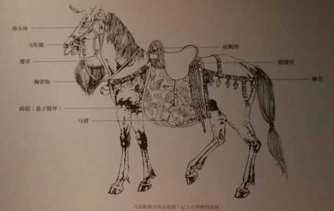 塞尔达古代缰绳在哪里？塞尔达传说旷野之息 古代缰绳？-第2张图片-山川游戏