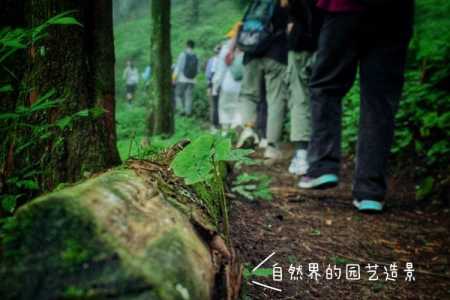 赛尔达三座神庙，塞尔达三座神庙？-第1张图片-山川游戏