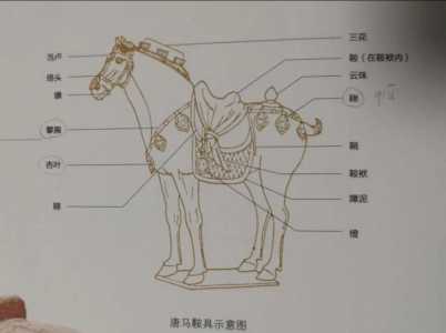 赛尔达传说古代马鞍，赛尔达传说古代马鞍怎么用-第1张图片-山川游戏